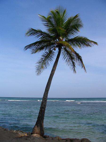 Dominican Republic (103).jpg